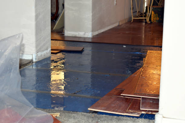 Professional Basement Water Removal technician working in Poy Sippi, WI